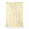 Chamois Marmora