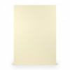Chamois