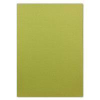 150 Blatt Ton-Karton DIN A4 - Farbe: Pistazie -Ton-Papier 160 g/m² gerippte Oberfläche - Ton-Zeichen-Papier Bastel-Papier Bastel-Karton - Glüxx-Agent