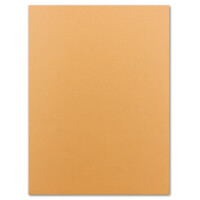 200 Blatt Ton-Karton DIN A4 - Farbe: Pfirsich -Ton-Papier 160 g/m² gerippte Oberfläche - Ton-Zeichen-Papier Bastel-Papier Bastel-Karton - Glüxx-Agent