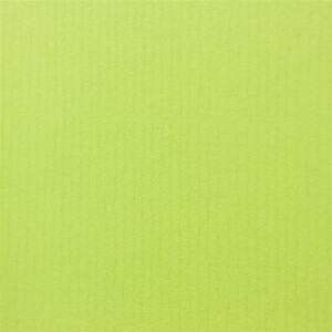 PAPERADO 25 Faltkarten DIN B6 Maigrün gerippt Hell-Grün Gelbgrün - Doppelkarten vorgefaltet blanko 220 g/m² - 12 x 16,9 cm - Klappkarten Basteln Einladungskarten Hochzeit Kommunion