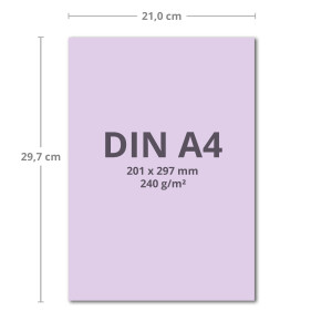 250 Blatt Tonkarton DIN A4 - Flieder - 240 g/m² dicker Bastelkarton - 21,0 x 29,7 cm Pappe zum basteln für Fotoalbum Menükarte Bedruckbar DIY kreativ sein