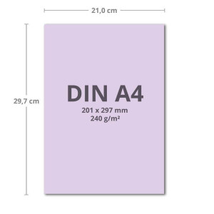 300 Blatt Tonkarton DIN A4 - Flieder - 240 g/m² dicker Bastelkarton - 21,0 x 29,7 cm Pappe zum basteln für Fotoalbum Menükarte Bedruckbar DIY kreativ sein