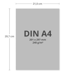 250 Blatt Tonkarton DIN A4 - Bunt 10 Farben Mix - 240 g/m² dicker Bastelkarton - 21,0 x 29,7 cm Pappe zum basteln für Fotoalbum Menükarte Bedruckbar DIY kreativ sein
