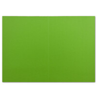 25 DIN A6 Faltkarten Hellgrün - Karten zum selbstgestalten 14,8 x 21 cm - Klappkarten mit 160 g/m² - Colours-4-you von Glüxx Agent