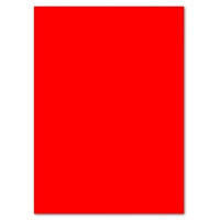 Neonpapier Leuchtpapier DIN A4 - 21,0 x 29,7 cm Neonrot - 80 g/m² einseitig Rückseite weiss Plakatpapier für Leuchtplakat