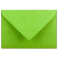 75 DIN C5 Briefumschläge Hellgrün - 22,0 x 15,4 cm - 110 g/m²  Nassklebung Post-Umschläge ohne Fenster  ideal für Weihnachten Grußkarten Einladungen von Ihrem Glüxx-Agent