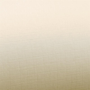 250 Blatt DIN-A3 Tonkarton - 300 g/m² Bastel-Papier - 42 x 29,7 cm - Farbe Creme-Vanille - geprägte Leinen-Struktur - Tonzeichenpapier zum Basteln - Fotokarton