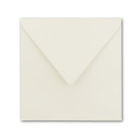 1000 Quadratische Briefumschläge Naturweiß  15,5 x 15,5 cm 110 g/m² Nassklebung Post-Umschläge ohne Fenster  ideal für Weihnachten Grußkarten Einladungen von Ihrem Glüxx-Agent