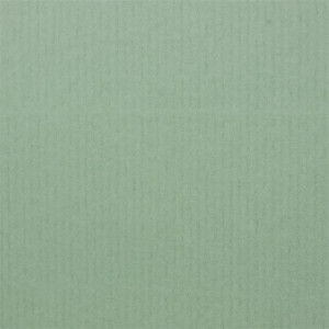 PAPERADO 100x Bastelkarton DIN A4 - Eucalyptus gerippt Grün 220 g/m² Tonkarton - Dickes Bastelpapier in 29,7 x 21 cm Malen, Basteln perfekte Bastelpappe