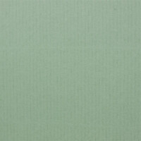 PAPERADO 100x Bastelkarton DIN A4 - Eucalyptus gerippt Grün 220 g/m² Tonkarton - Dickes Bastelpapier in 29,7 x 21 cm Malen, Basteln perfekte Bastelpappe