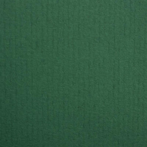 PAPERADO 200x Bastelkarton DIN A4 - Tannengrün gerippt Grün 220 g/m² Tonkarton - Dickes Bastelpapier in 29,7 x 21 cm Malen, Basteln perfekte Bastelpappe