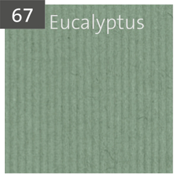 Eucalyptus gerippt